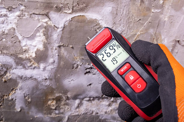 Best Mold Damage Repair  in Salem Lakes, WI