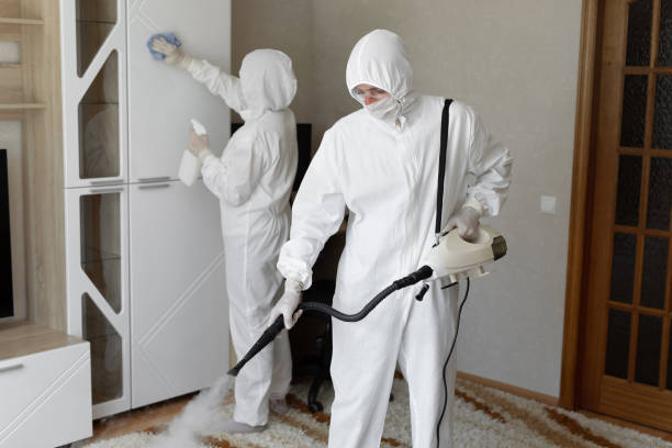 Best Toxic Mold Removal  in Salem Lakes, WI