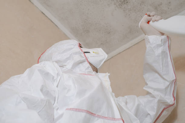 Best Mold Cleaning Services  in Salem Lakes, WI