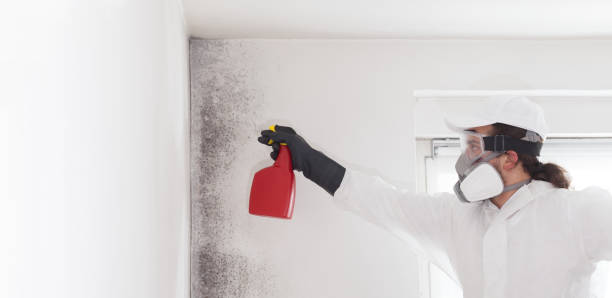 Best Fast Mold Removal  in Salem Lakes, WI